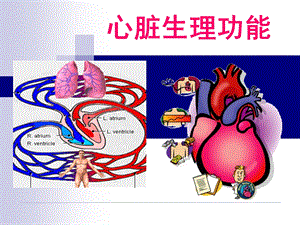 《心脏生理功能》PPT课件.ppt