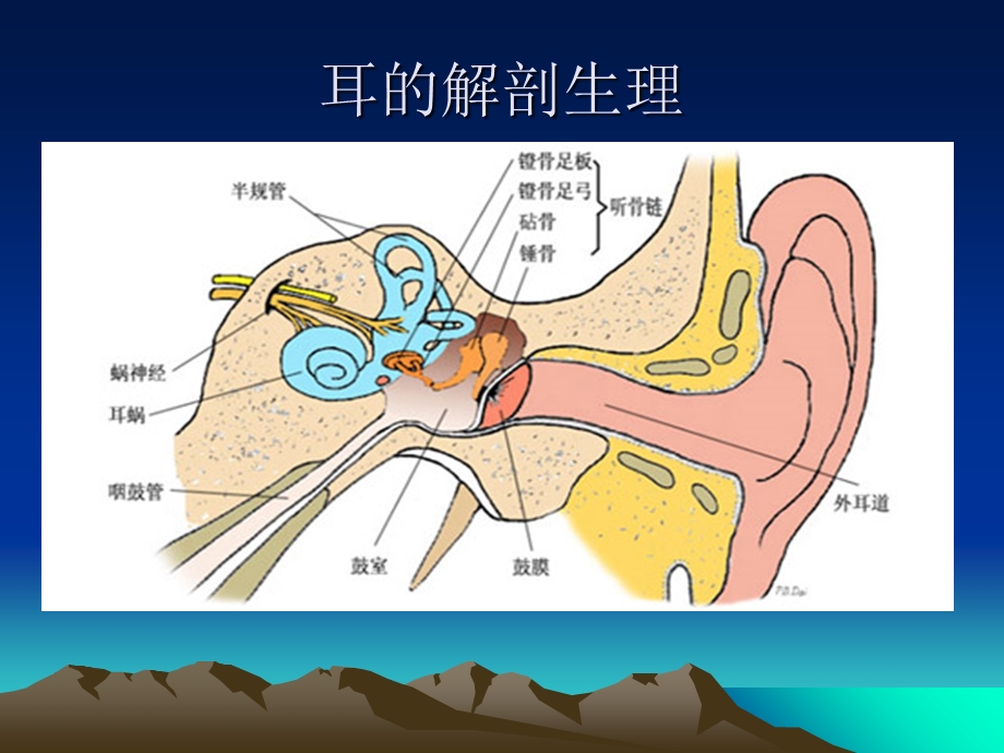 《听觉诱发电位》PPT课件.ppt_第3页