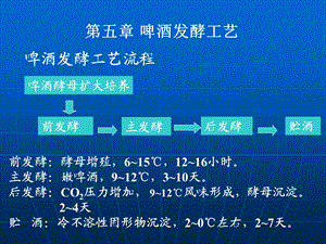 《啤酒发酵工艺》PPT课件.ppt