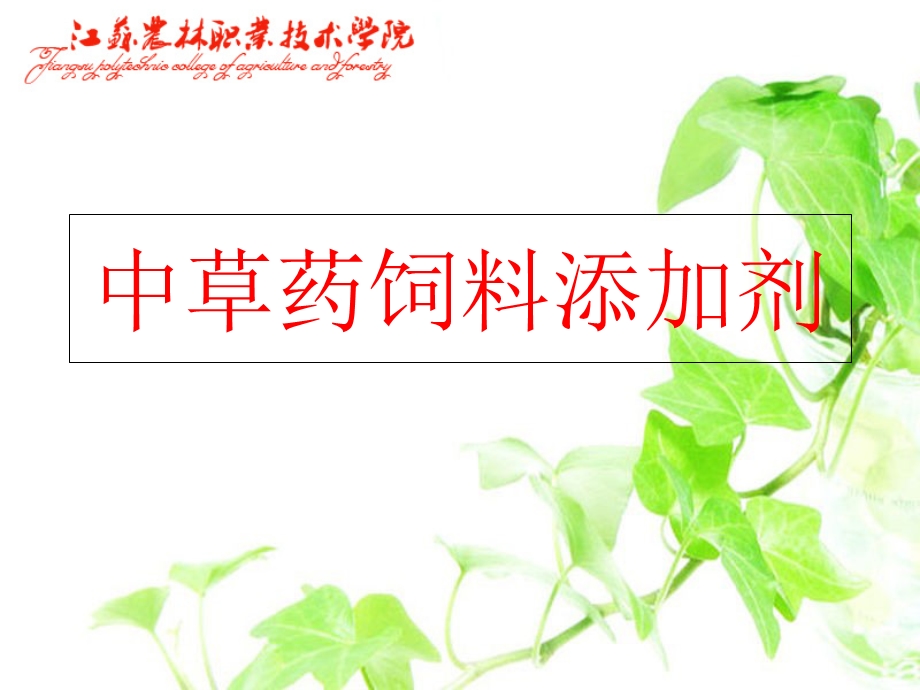 《中草药饲料添加剂》PPT课件.ppt_第1页