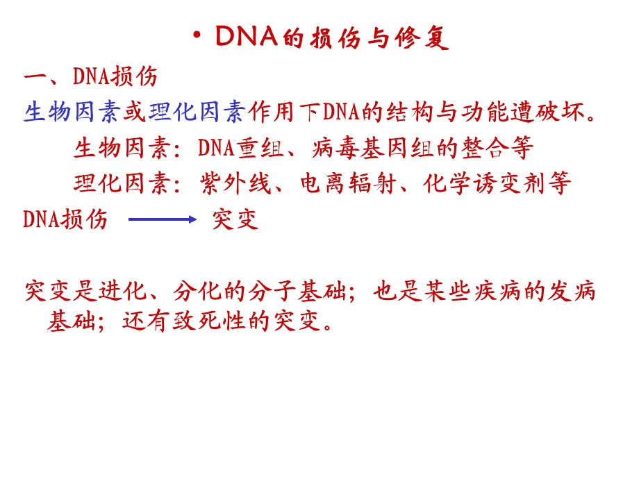 《复制修复与逆转录》PPT课件.ppt_第2页