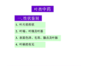 《叶类生药》PPT课件.ppt