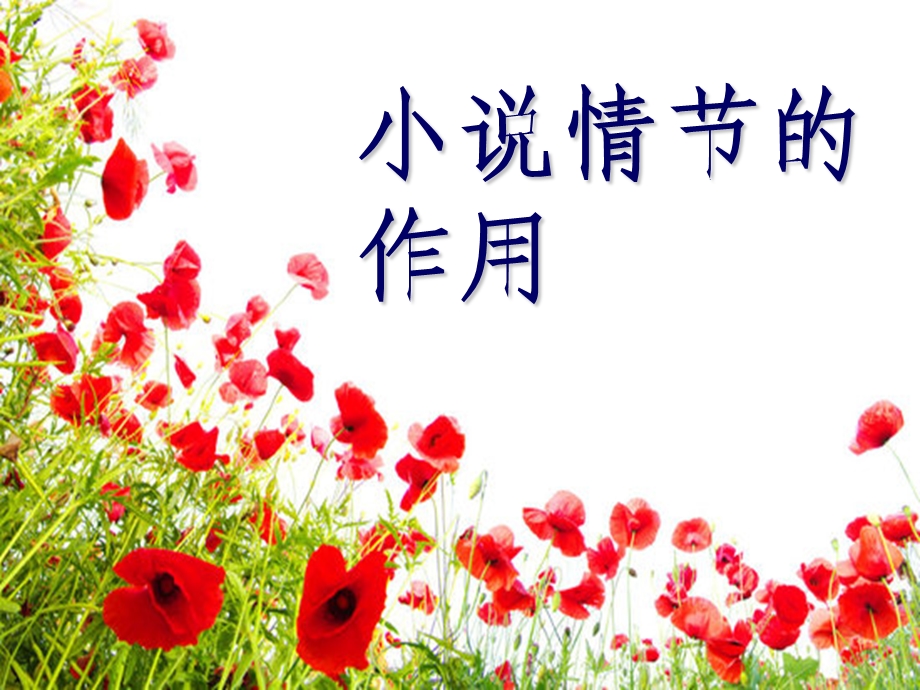 《小说情节作用》PPT课件.ppt_第1页