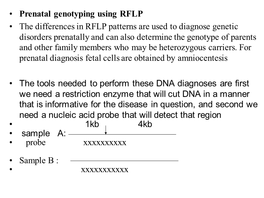 《出生前基因型》PPT课件.ppt_第1页