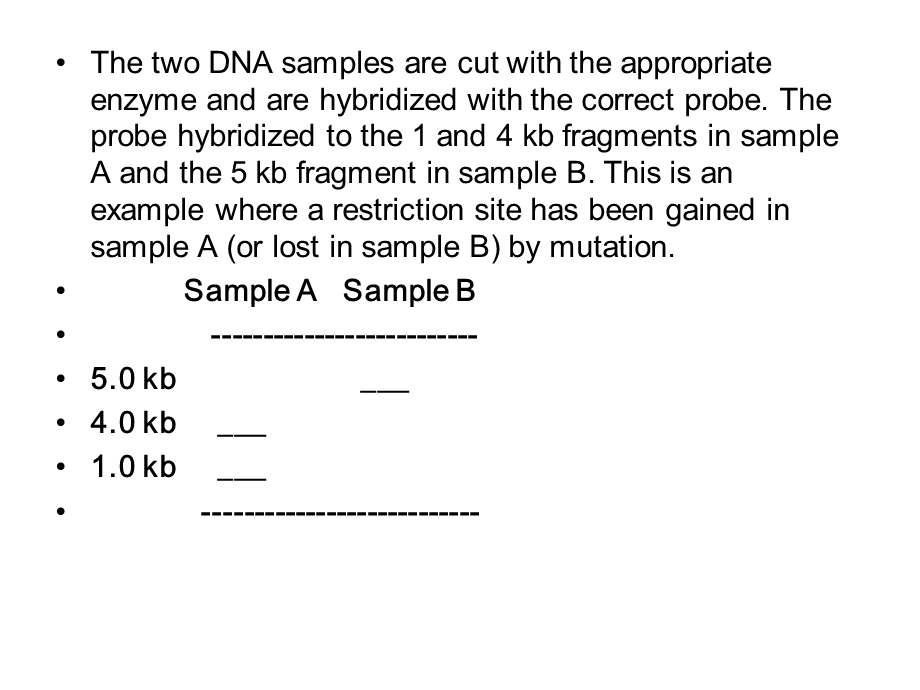 《出生前基因型》PPT课件.ppt_第2页