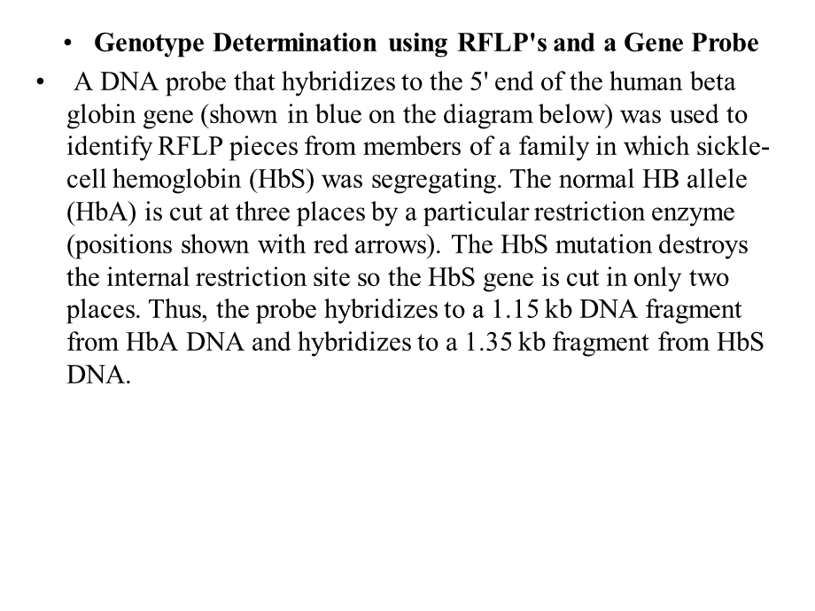 《出生前基因型》PPT课件.ppt_第3页
