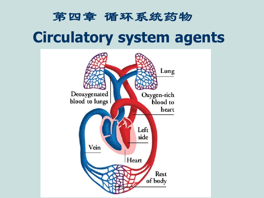 《循环系统药物》PPT课件.ppt_第1页