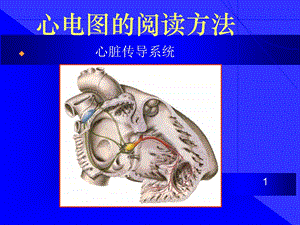 《心电图的阅读方法》PPT课件.ppt