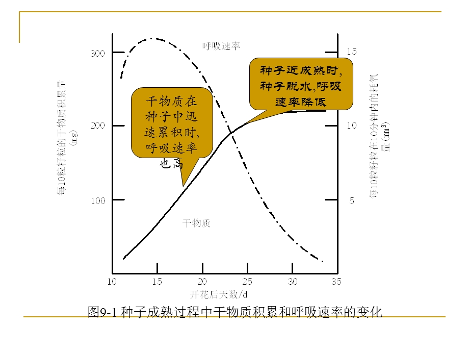 《成熟与衰老》PPT课件.ppt_第3页