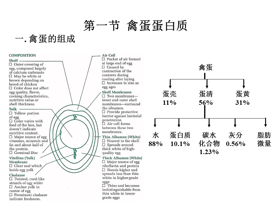 《动物蛋白》PPT课件.ppt_第2页