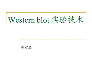 《WB原理流程》PPT课件.ppt