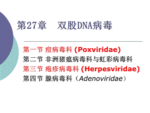 双股DNA病毒.ppt