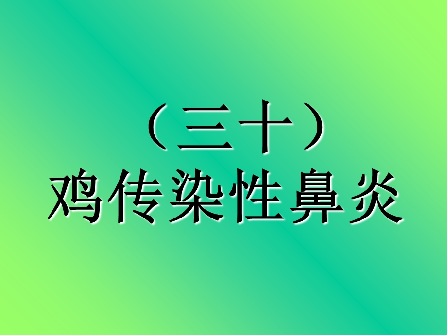 《传染性鼻炎》PPT课件.ppt_第1页