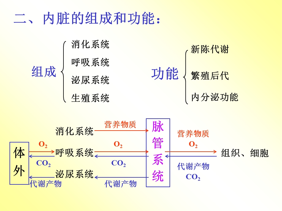 《内脏总论》PPT课件.ppt_第3页