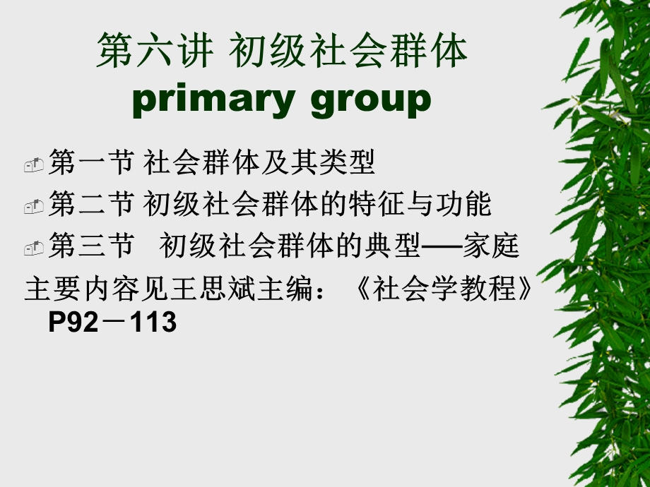 《初级社会群体》PPT课件.ppt_第1页