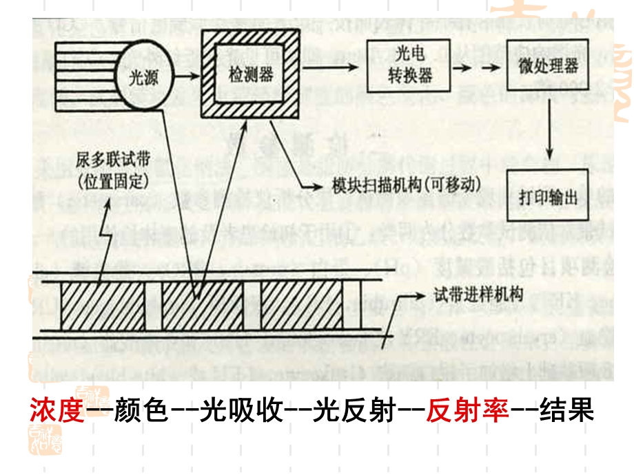 《尿液分析仪》PPT课件.ppt_第2页