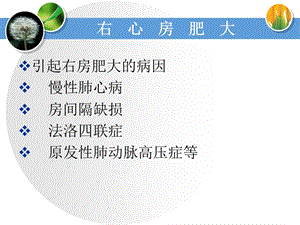 《右心房肥大》PPT课件.ppt