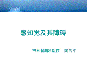 《感知觉障碍》PPT课件.ppt