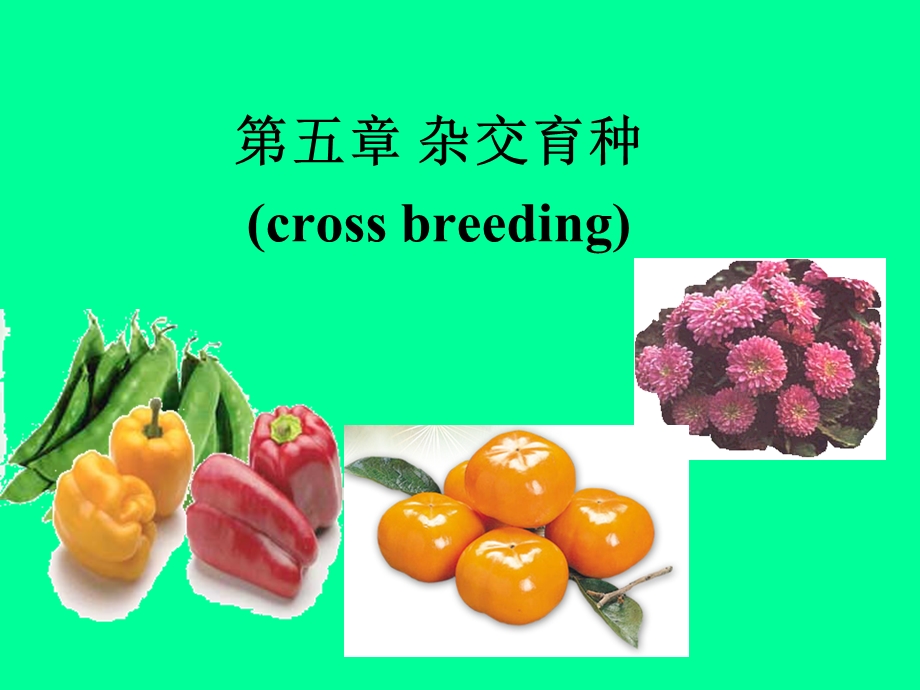 五章节杂交育种crossbreeding.ppt_第1页