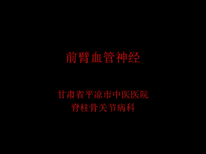 《前臂血管神经》PPT课件.ppt