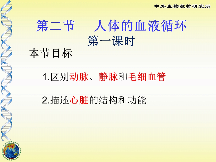 《人体的血液循环》PPT课件.ppt_第1页