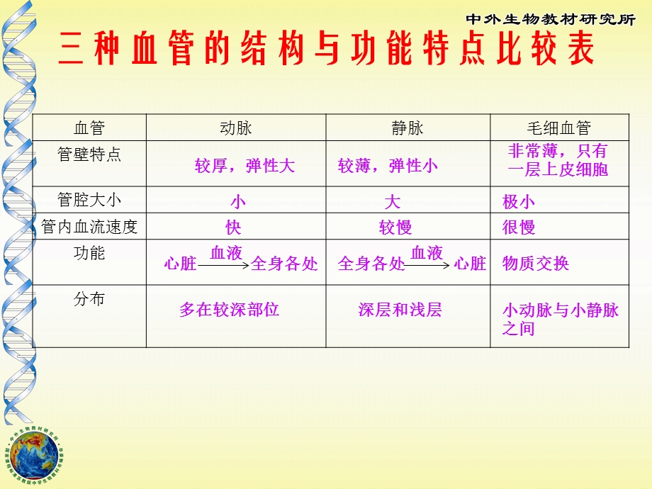 《人体的血液循环》PPT课件.ppt_第3页