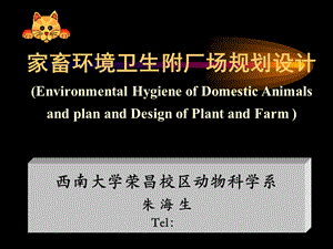 《光照与噪声》PPT课件.ppt