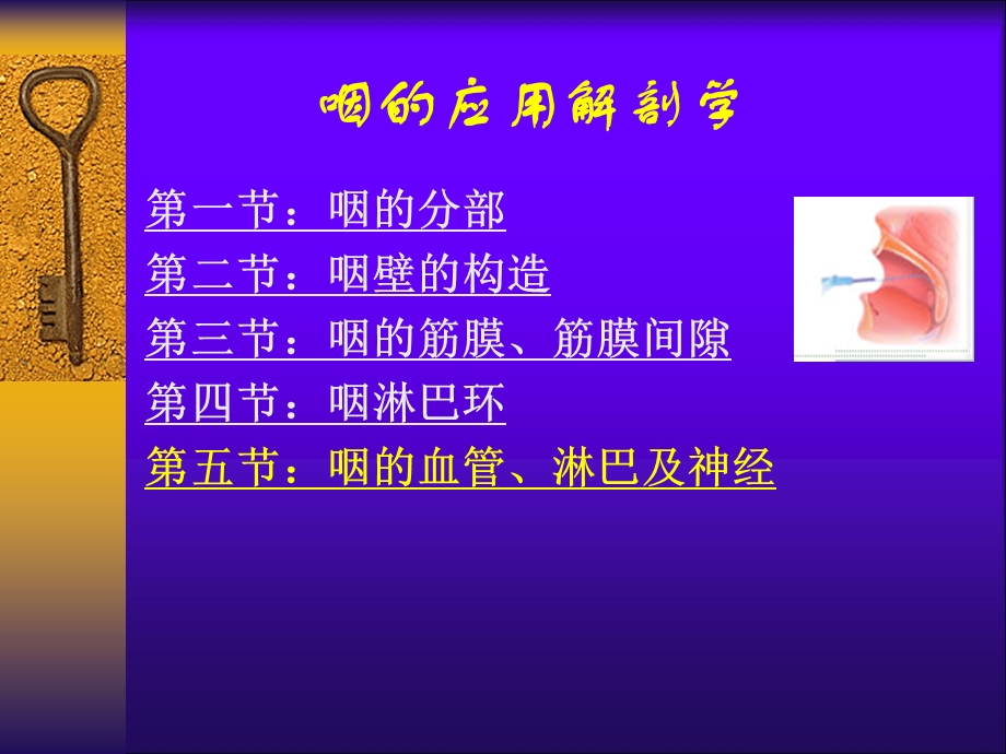 《咽喉科学解剖》PPT课件.ppt_第2页