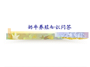 《奶牛饲养问答》PPT课件.ppt