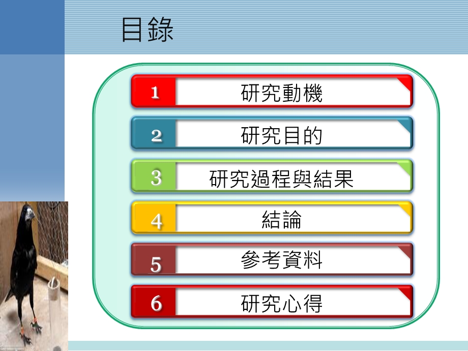 《乌鸦研究报告》PPT课件.ppt_第2页