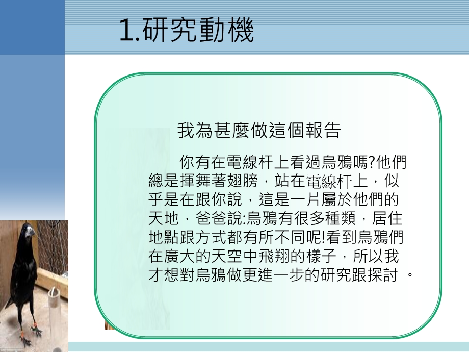 《乌鸦研究报告》PPT课件.ppt_第3页