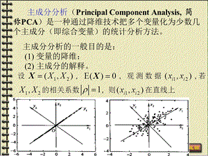 《总体主成分》PPT课件.ppt