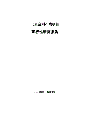 北京金刚石线项目可行性研究报告.docx