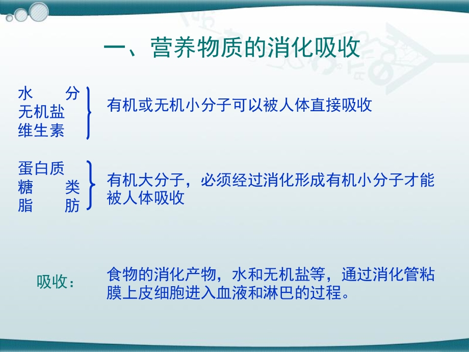 《大营养物质的代谢》PPT课件.ppt_第3页