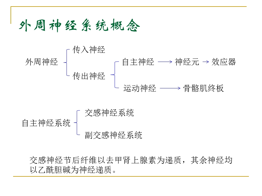 《外周神经系统用药》PPT课件.ppt_第2页