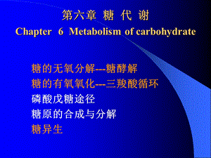 生化糖代谢.ppt