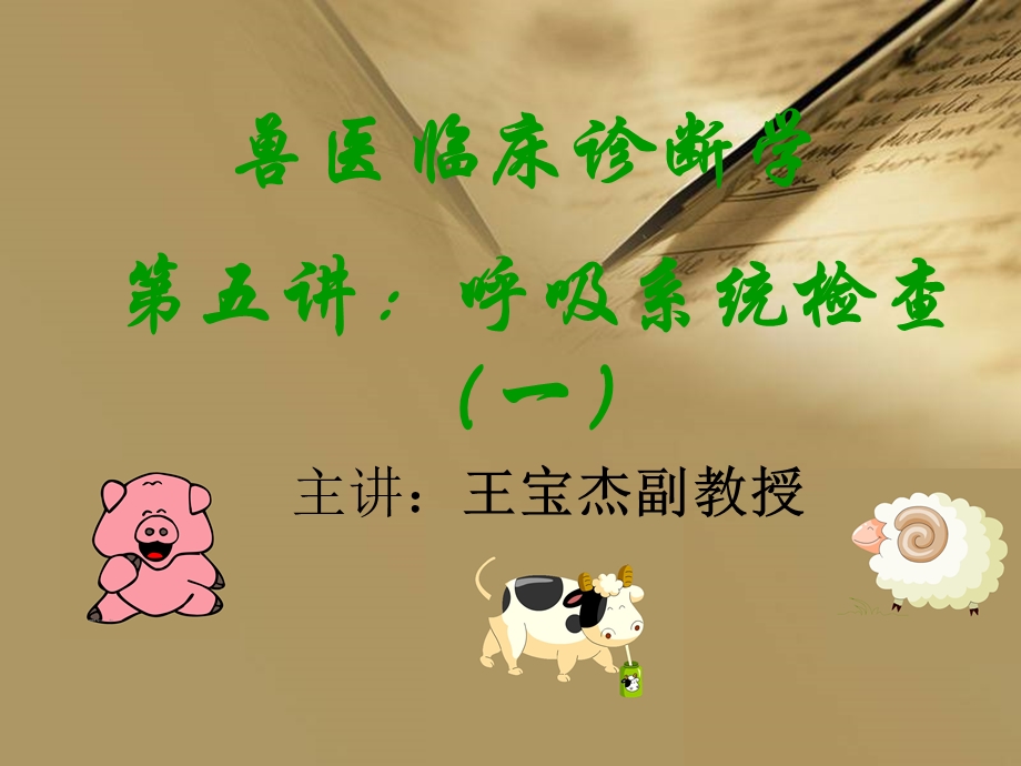 《呼吸系统检查》PPT课件.ppt_第1页