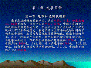 《发展前景》PPT课件.ppt