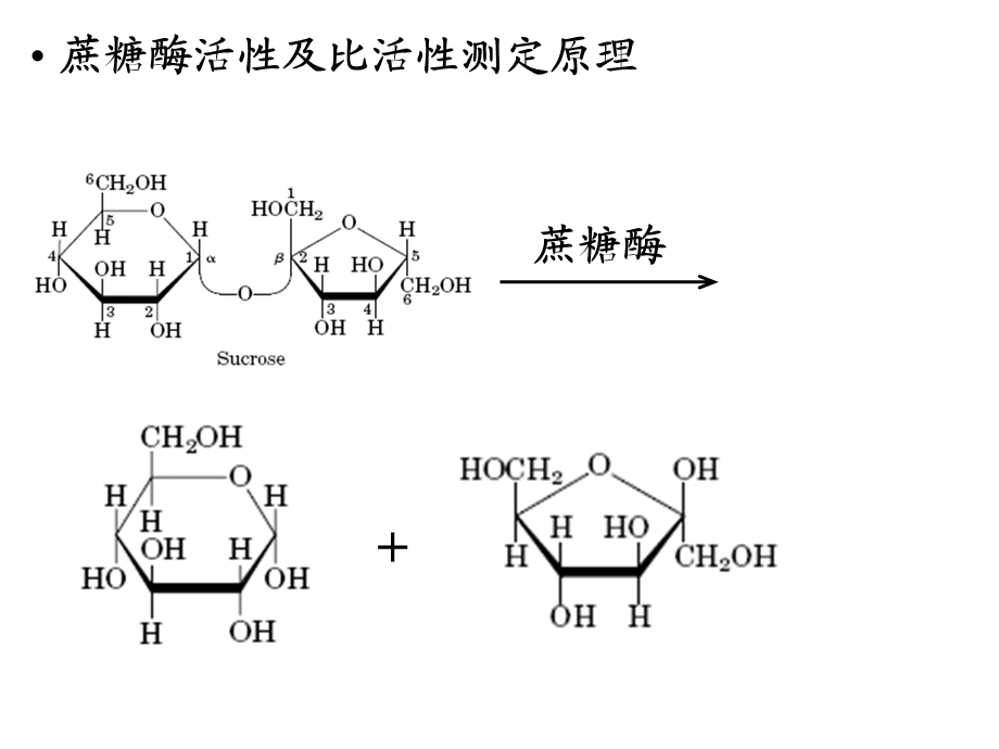 实验六酵母蔗糖酶的粗提及其比活力测定.ppt_第2页