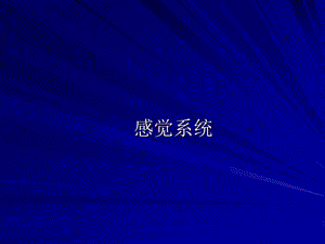 《感觉系统》PPT课件.ppt