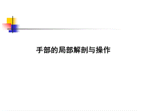 《手部局部解剖》PPT课件.ppt