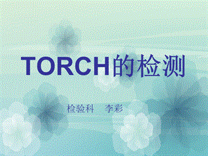 《TORCH的检测》PPT课件.ppt