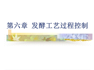 《发酵过程工艺》PPT课件.ppt