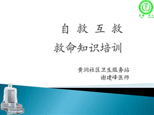 《急救知识讲座》PPT课件.ppt