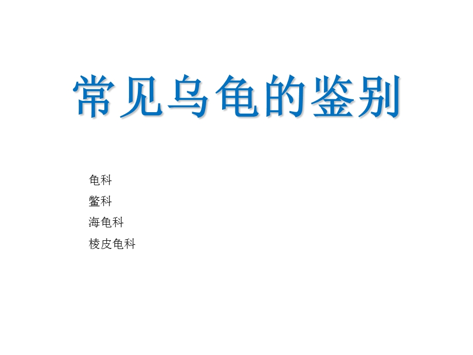 《常见乌龟的鉴别》PPT课件.ppt_第1页