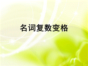 《俄语名词复数变格》PPT课件.ppt