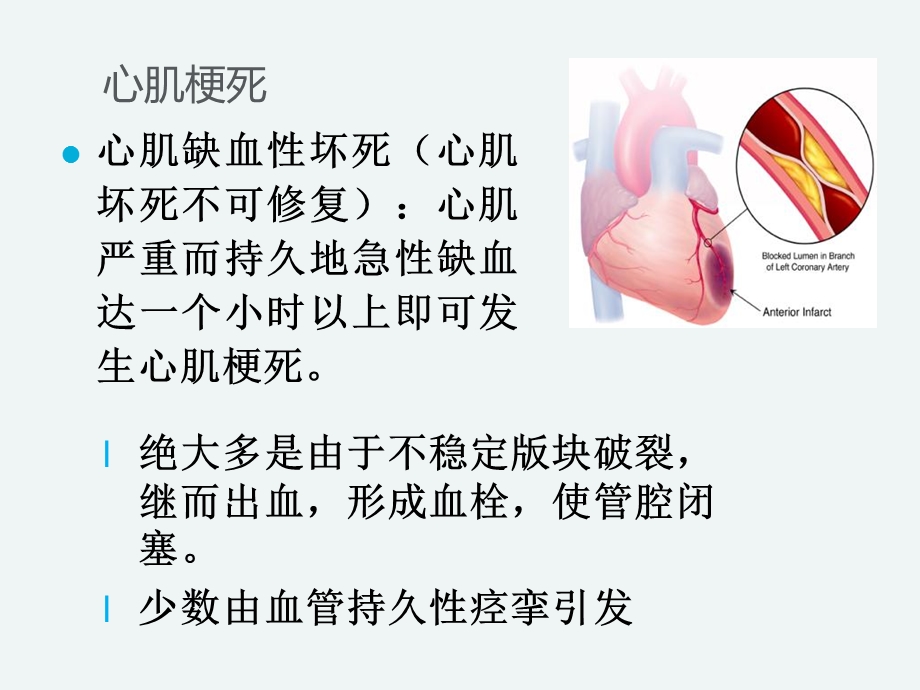 《心脑血管类》PPT课件.ppt_第2页