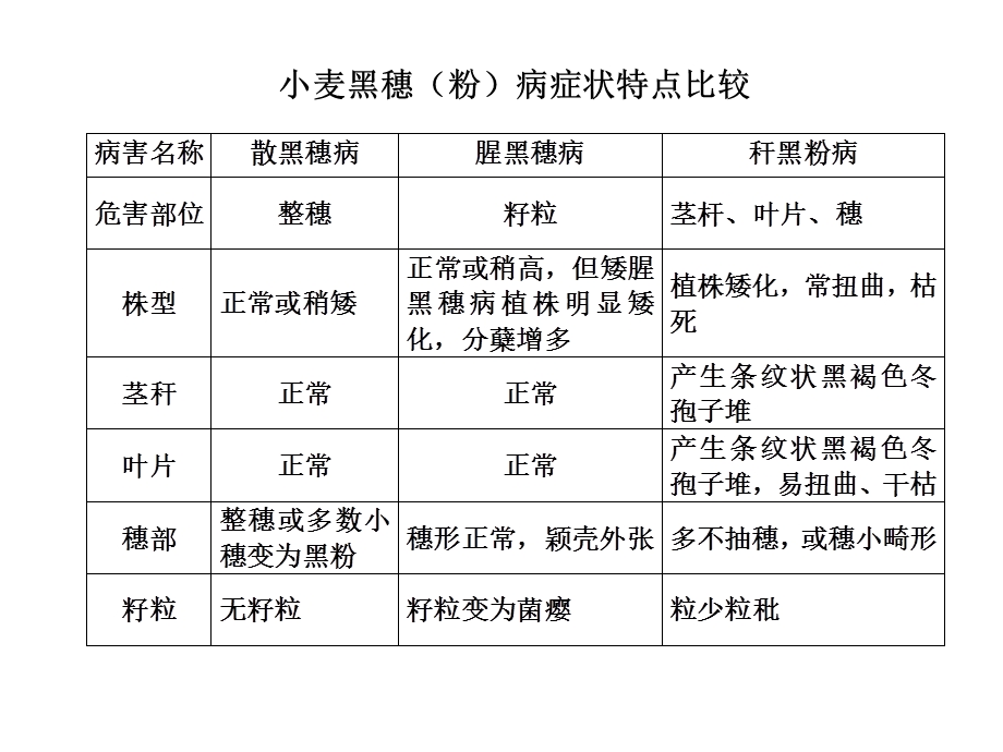 《小麦黑穗病》PPT课件.ppt_第3页