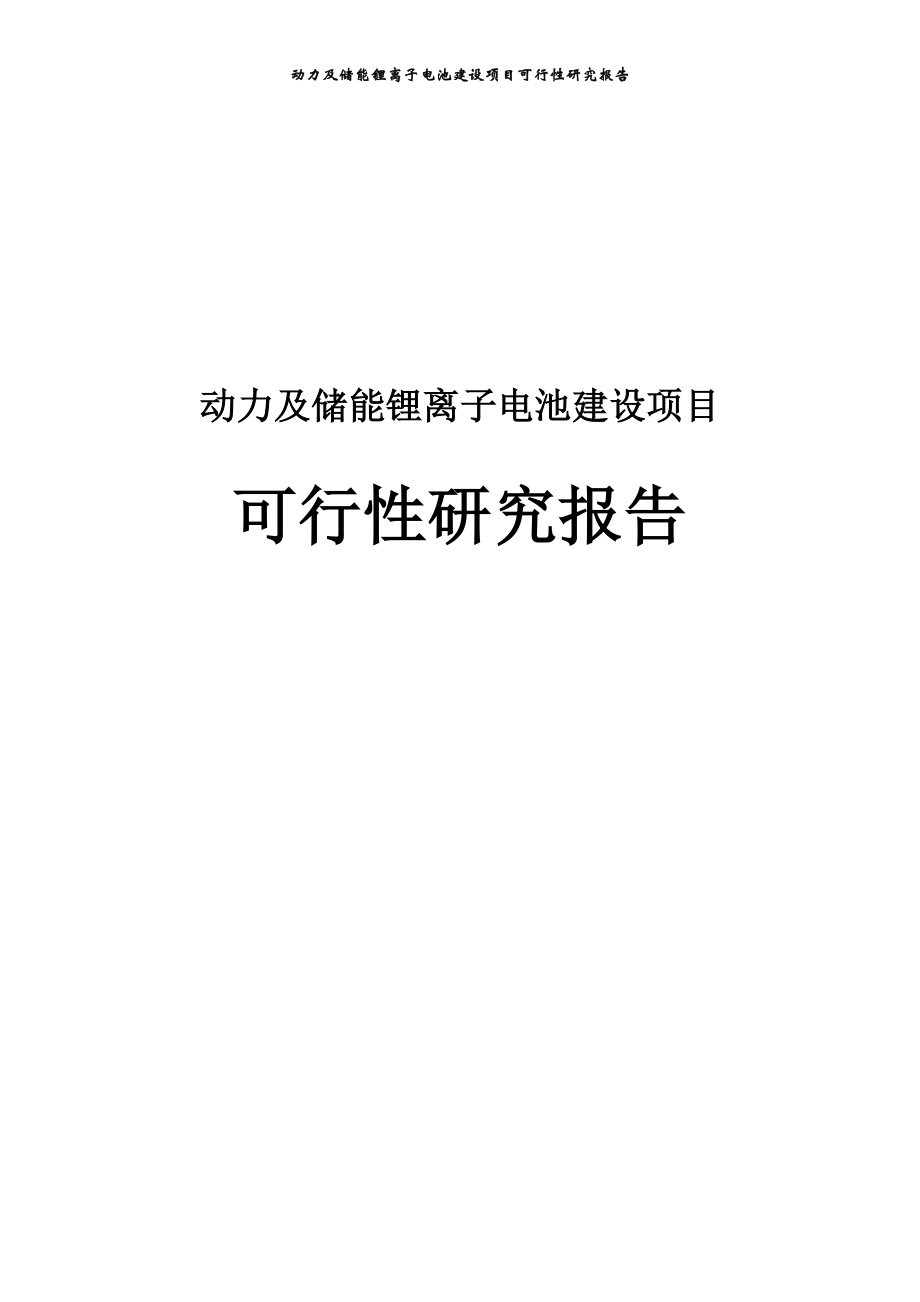 动力及储能锂离子电池项目可行性研究报告.doc_第1页