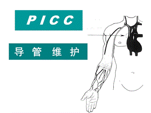 《PICC导管维护》PPT课件.ppt